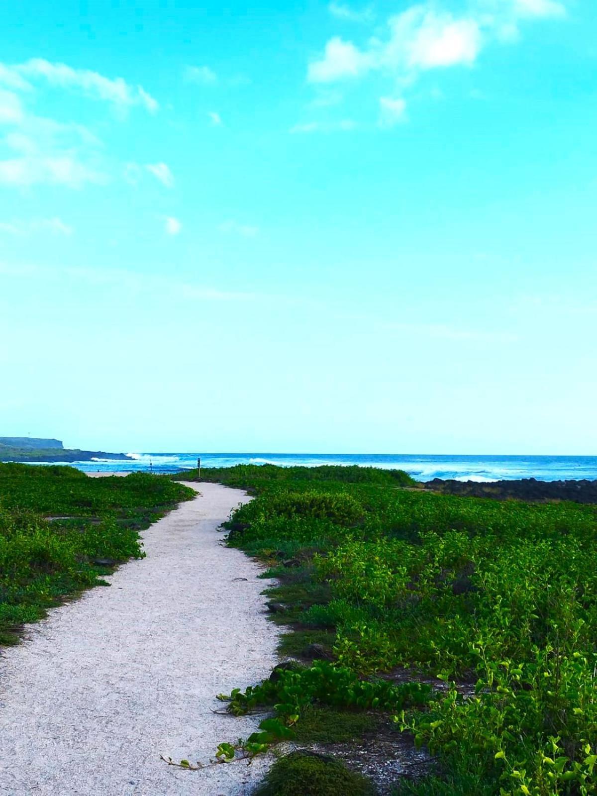 Hotel Los Algarrobos ปูแอร์โต บาเกริโซ โมเรโน ภายนอก รูปภาพ