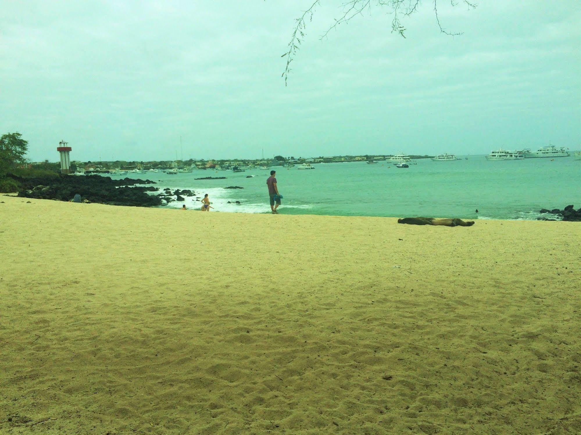Hotel Los Algarrobos ปูแอร์โต บาเกริโซ โมเรโน ภายนอก รูปภาพ